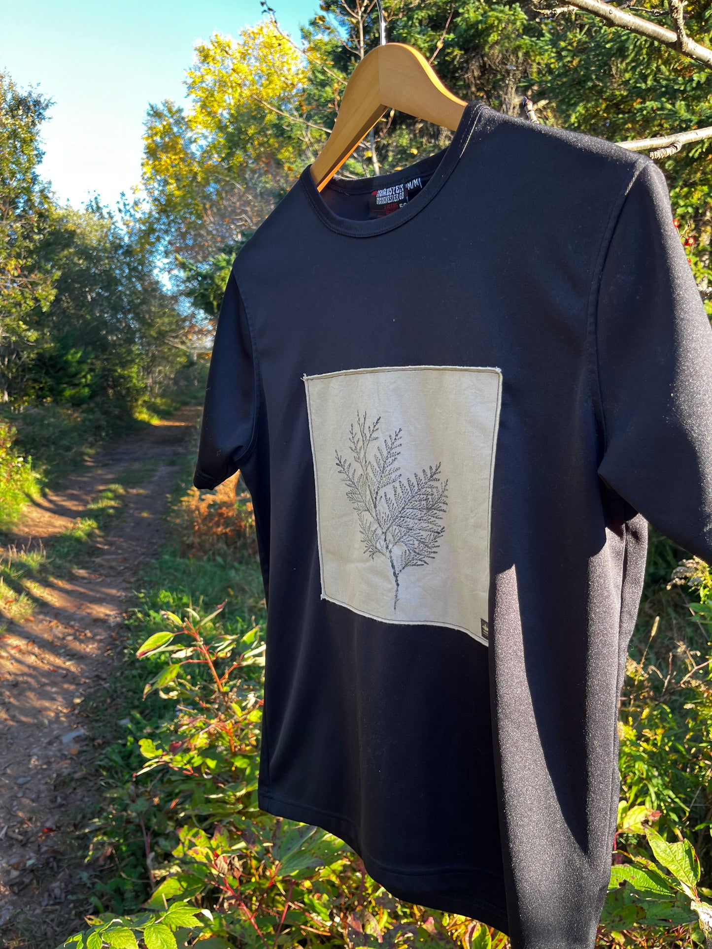T-shirt noir « cèdre » Médium