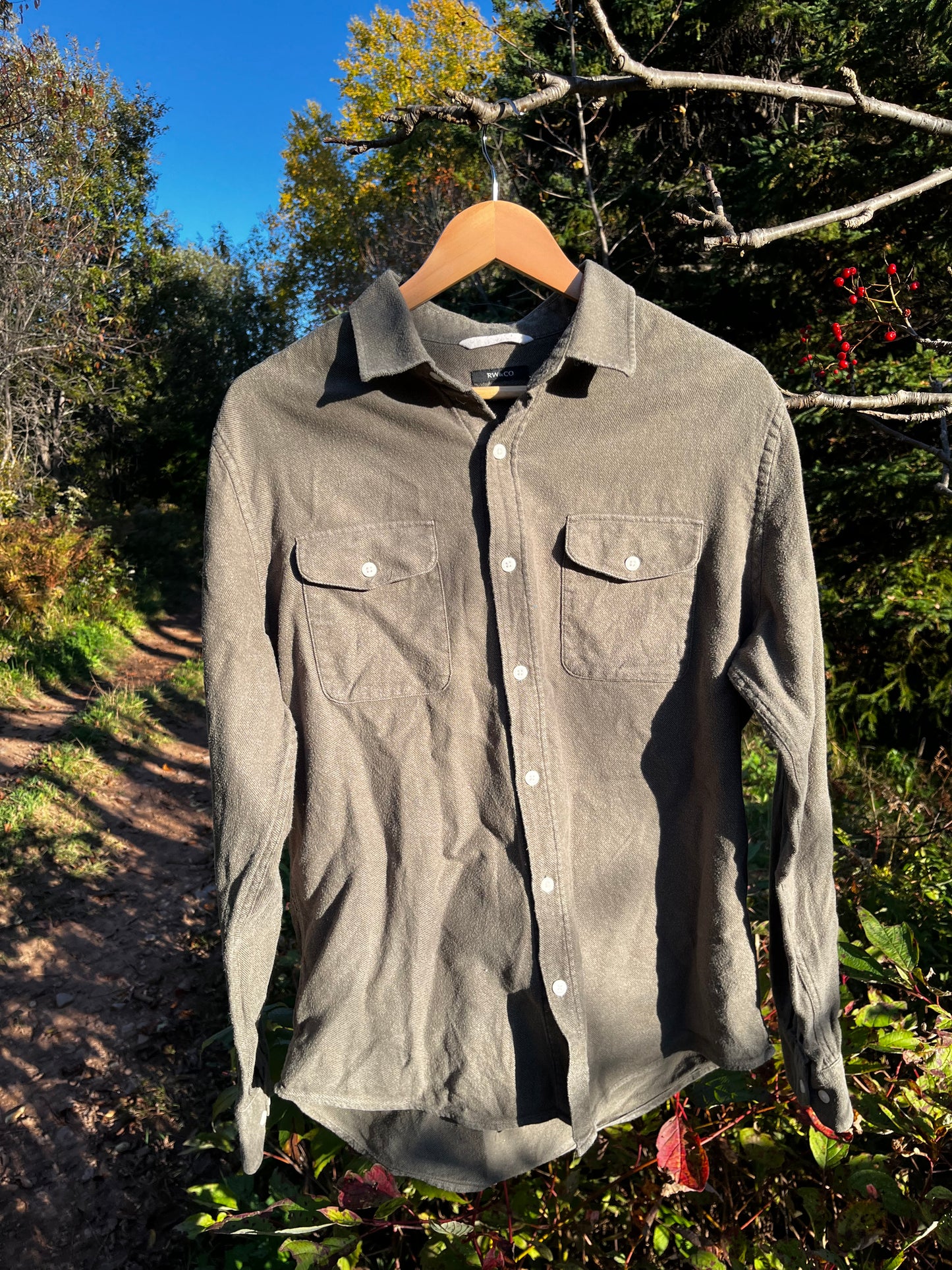 Chemise Kaki « fougère » Large (unisexe)