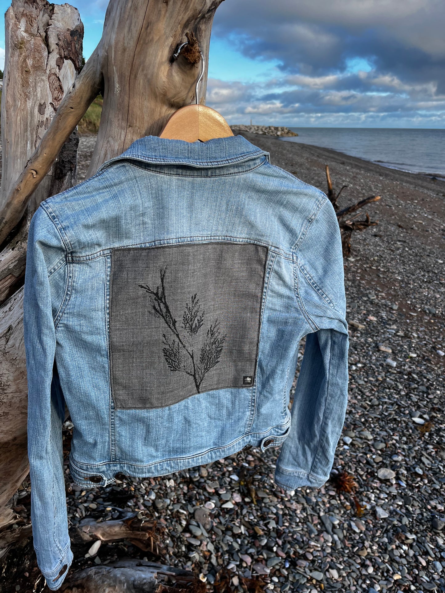 Veste en jeans « cèdre » Médium