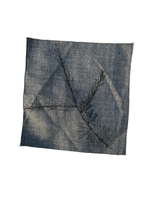 La patch « mélèze »
