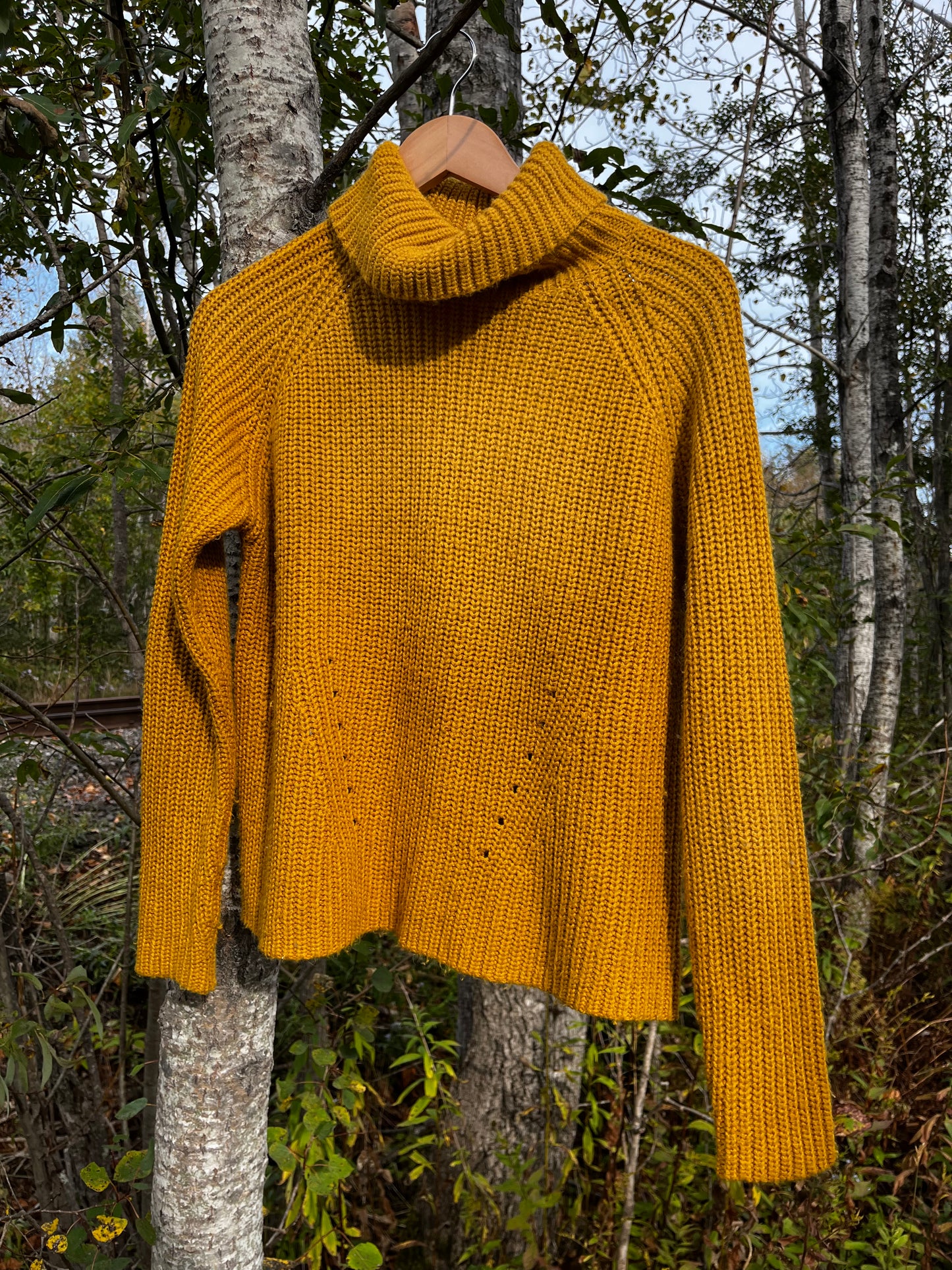 Tricot jaune « Fougère » Médium