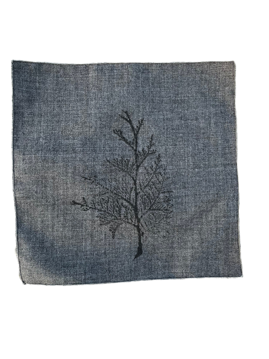 La patch « cèdre »