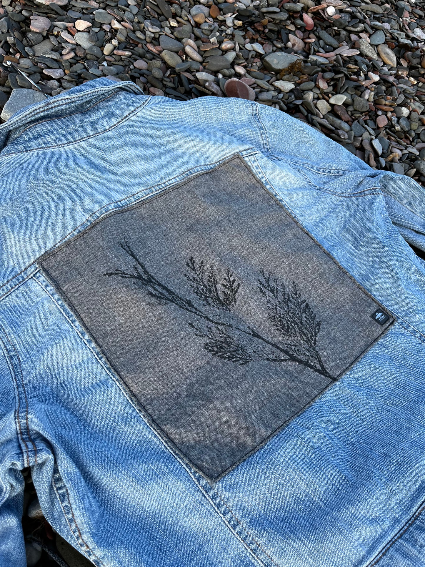 Veste en jeans « cèdre » Médium
